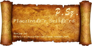 Placzintár Szilárd névjegykártya